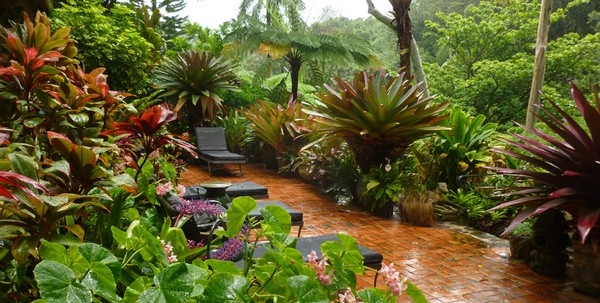 Tropical Garden Tropical Garden