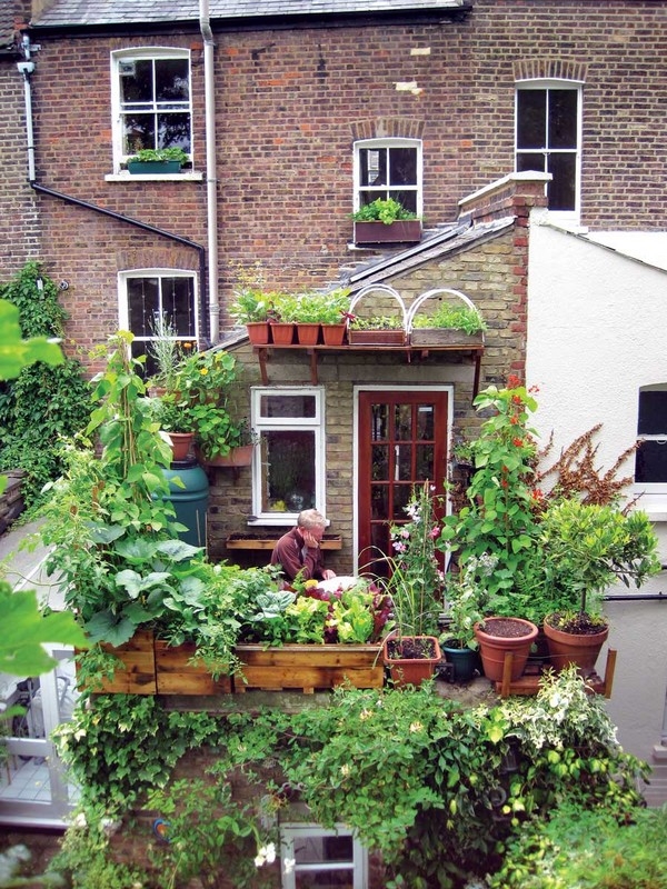 Urban Oasis Urban Oasis