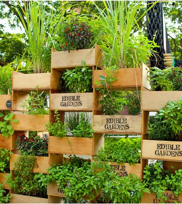 Automatic Wall Garden - Self-Watering Vertical Green Wall, Aqua Gardening