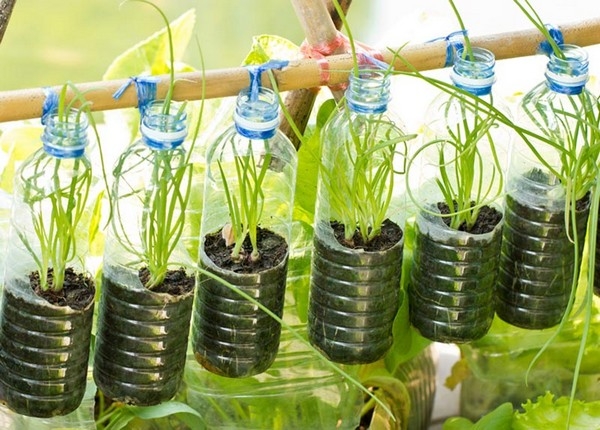 Vertical Gardening Systems Vertical Gardening Systems