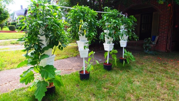 Vertical Hydroponic Gardening Vertical Hydroponic Gardening