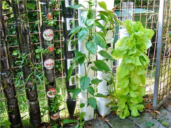 Vertical Vegetable Gardening Systems Vertical Vegetable Gardening Systems