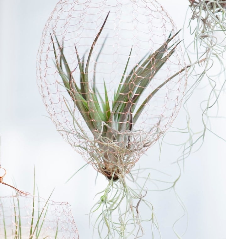 wall hanging garden wall hanging garden