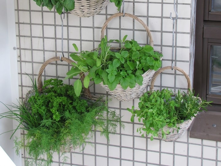 wall hanging herb garden wall hanging herb garden
