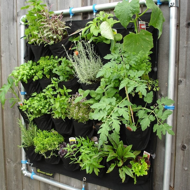 wall mounted herb garden wall mounted herb garden