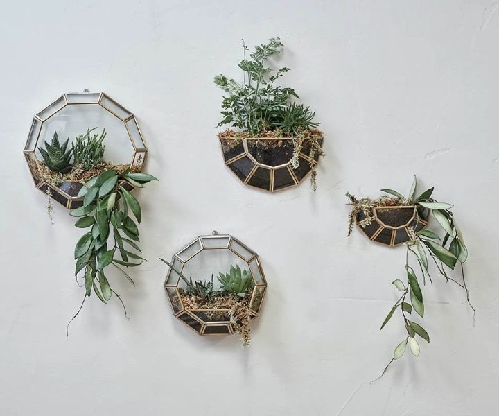 wall planter aldi wall planter aldi