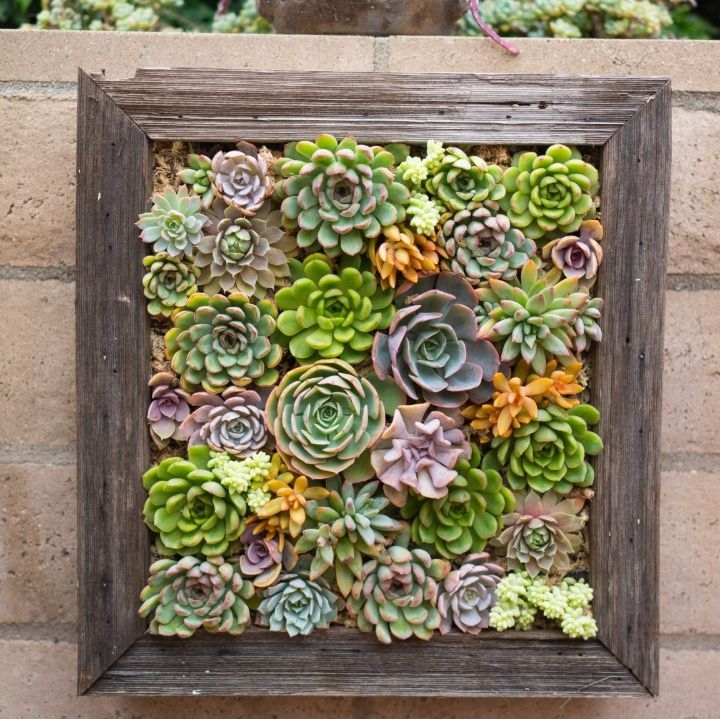 wall planter box wall planter box