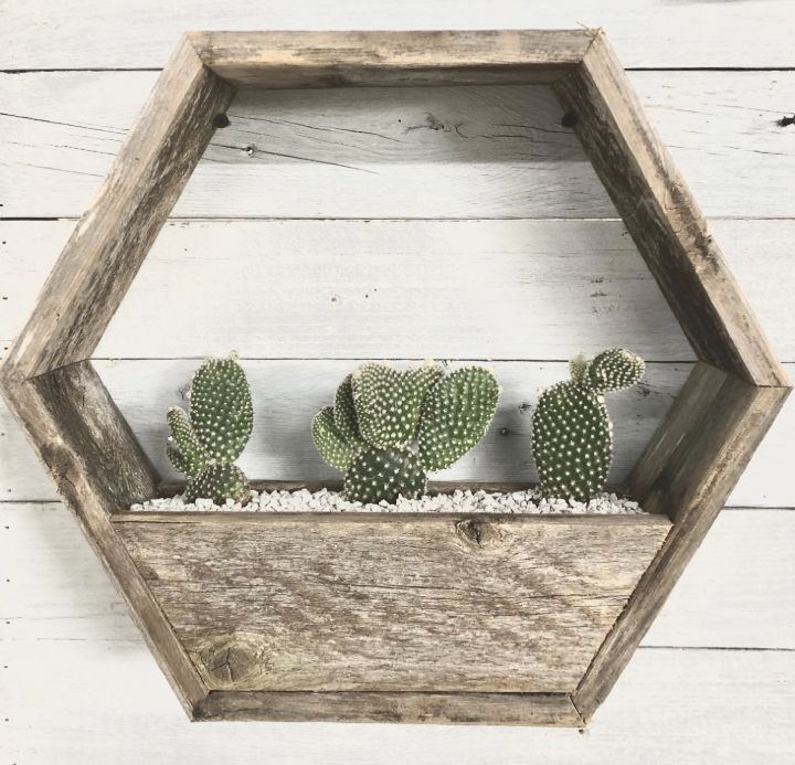 wall planter display wall planter display