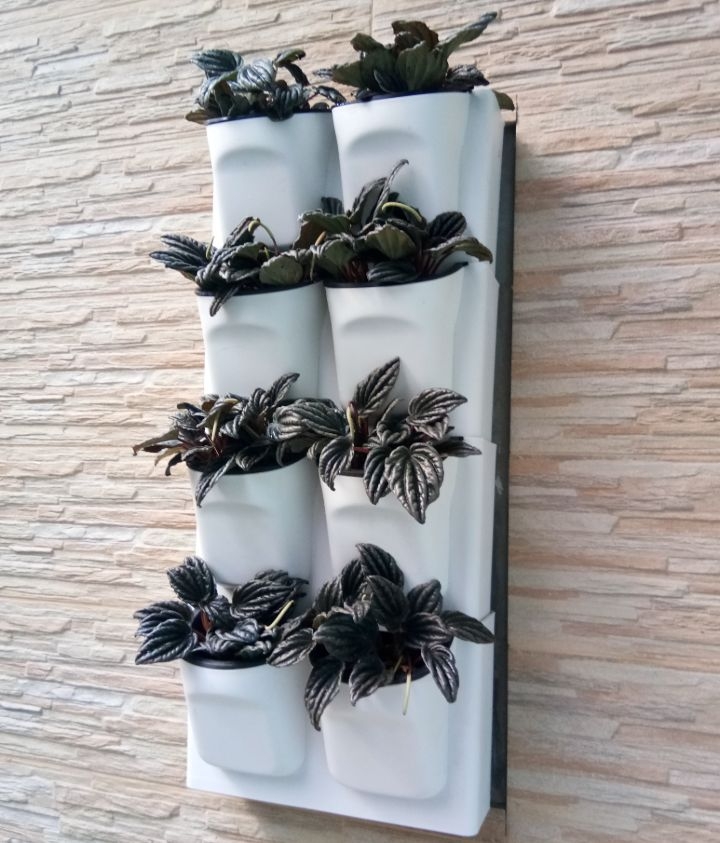 wall planter drainage wall planter drainage