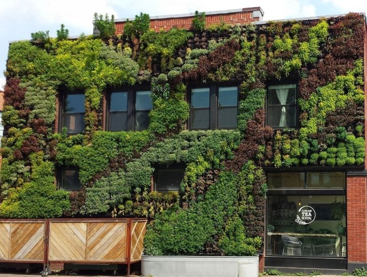 wall planter garden wall planter garden