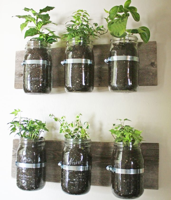 wall planter glass wall planter glass