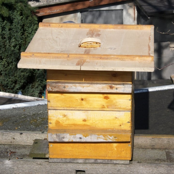 warre hive warre hive