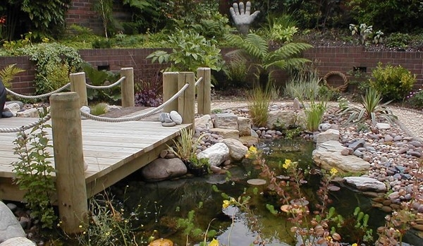 Water Features Water Features