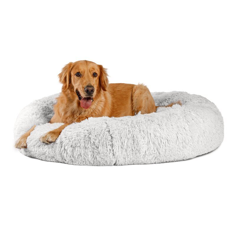  Are Bean Bags Safe For Dogs