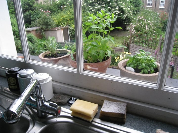 window herb garden in the kitchen sink window herb garden in the kitchen sink
