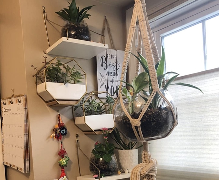 window sill planted wall window sill planted wall