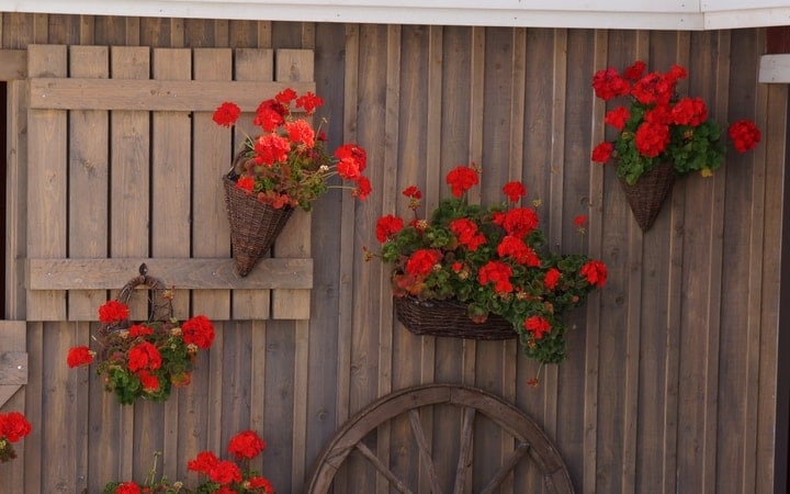 wooden fence wall garden wooden fence wall garden