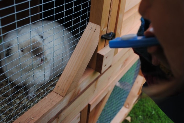 wooden outdoor rabbit cage wooden outdoor rabbit cage