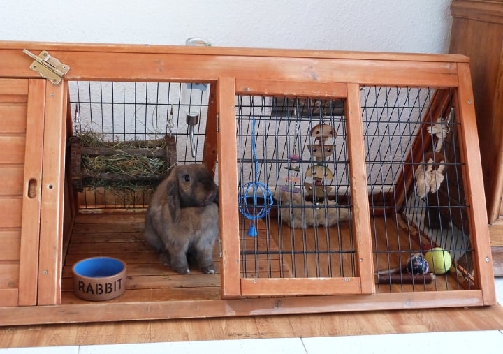 wooden rabbit cage wooden rabbit cage