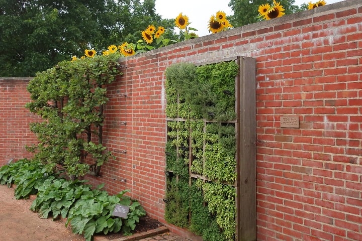 wooden vertical garden wooden vertical garden
