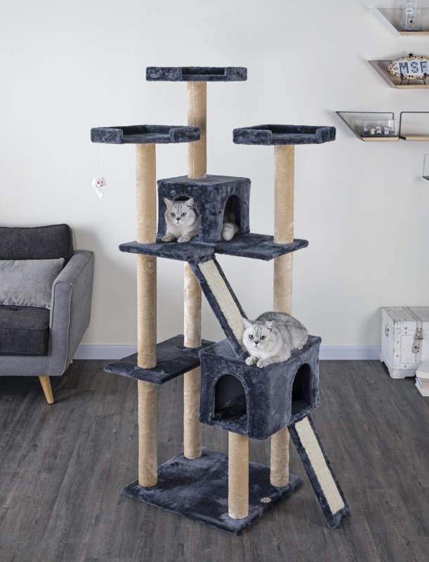 71" Kitten Cat Tree