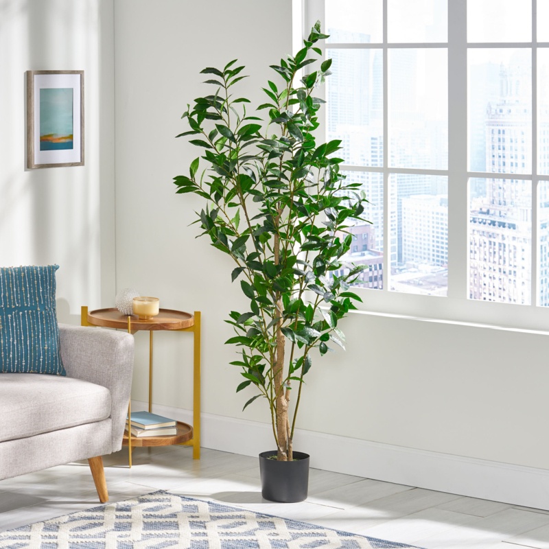 Abernethy Faux Laurel Tree in Pot
