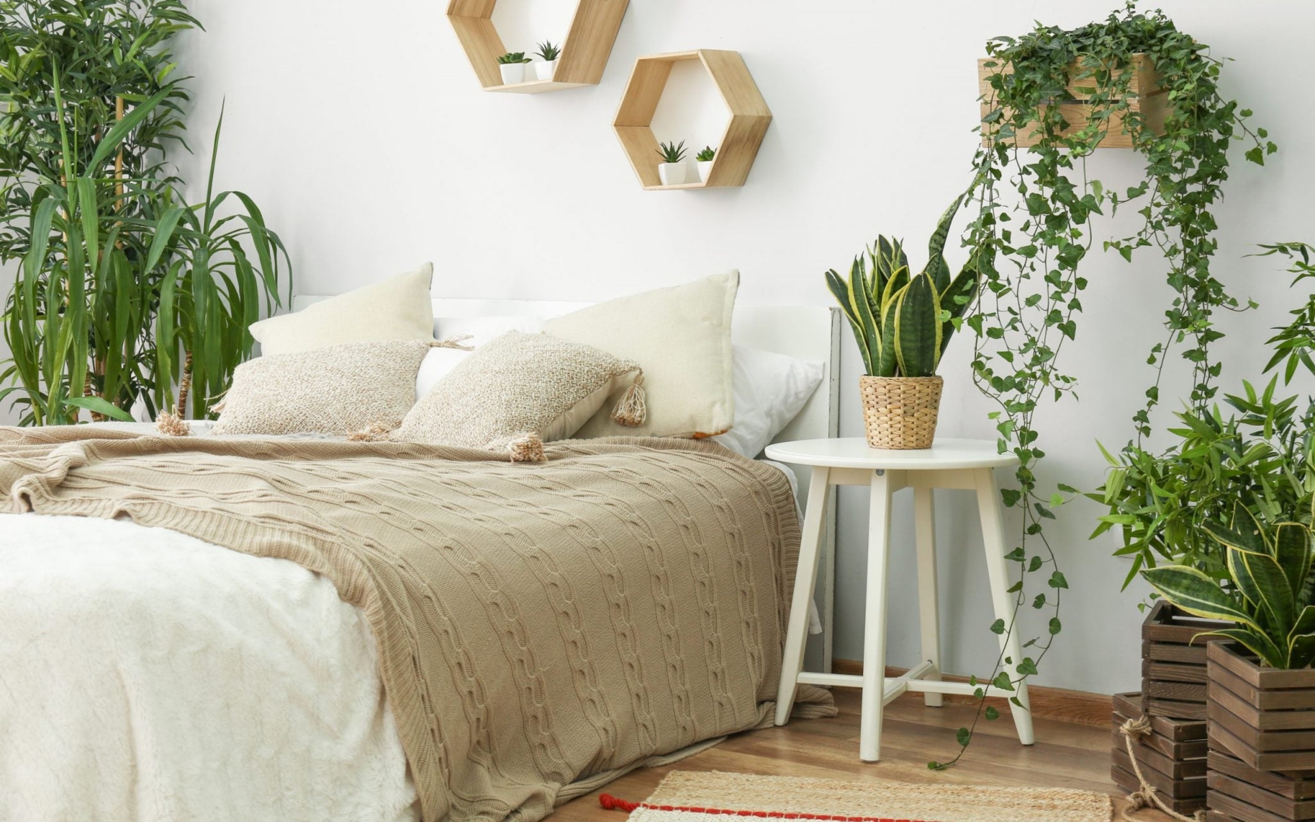 Add plants for a natural touch