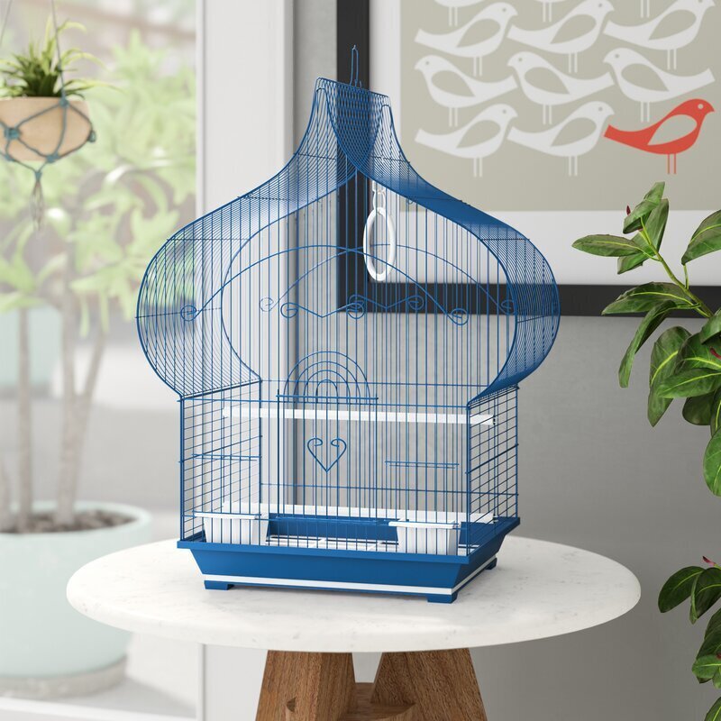Aesthetic bird cage
