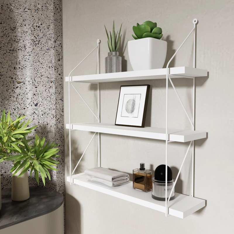 Versatile Wall Shelf for Display and Storage