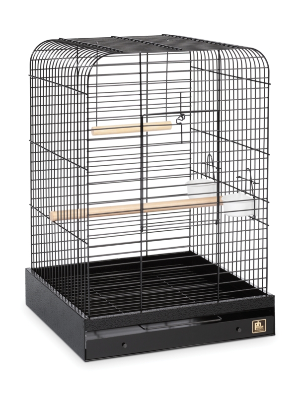 Medium-Large Bird Cage with Accessories