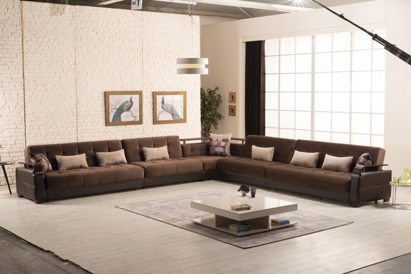 Sectional Sofa with Hidden Storage and Sleeper