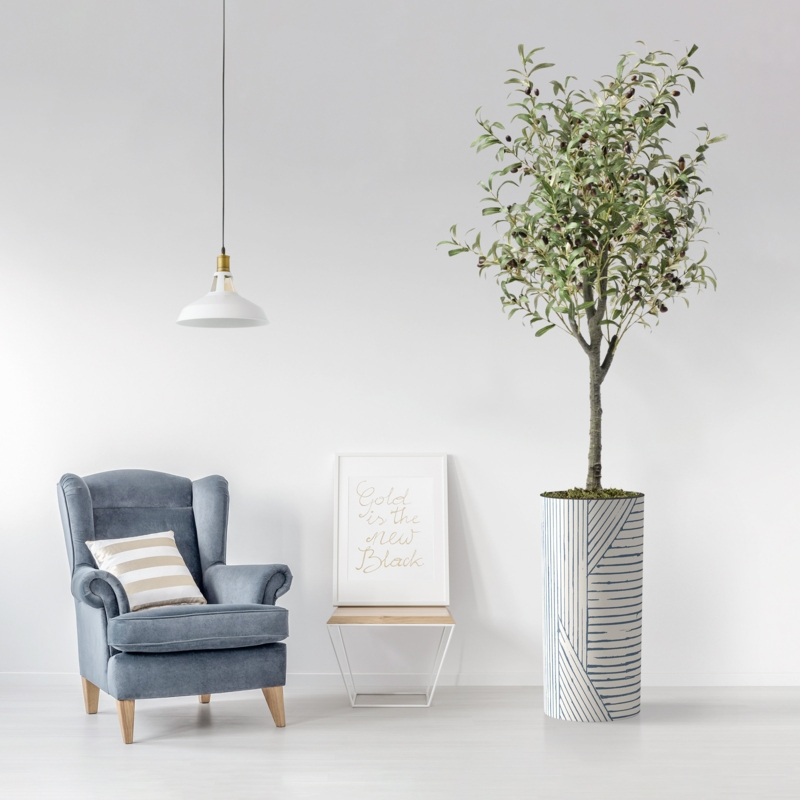 Realistic Olive Tree with Stylish Planter