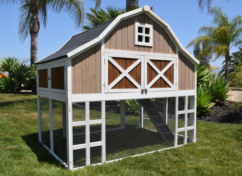 Large Chicken Coop with Nesting Boxes