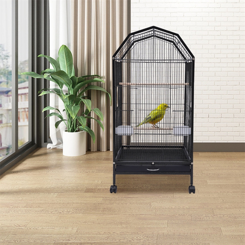 Black Birdcage with 360-Degree View