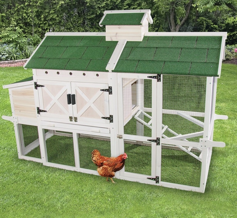 Charitee 21.7 Square Feet Chicken Coop with Chicken Run