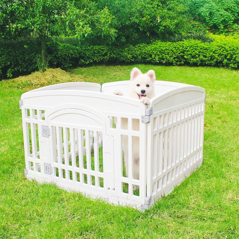 Pet Entertainment Space with Secure Area