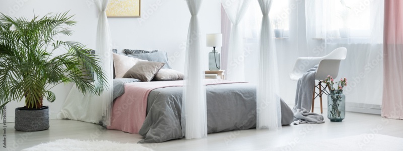 Choose a canopy bed