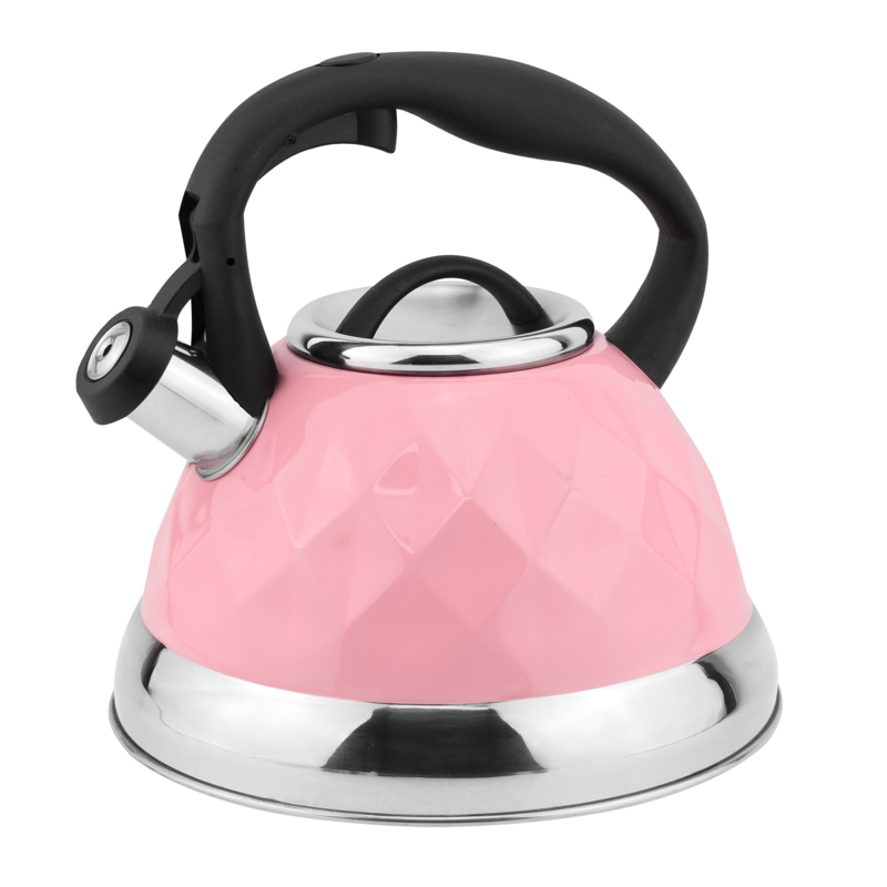 Stainless Steel Whistling Kettle with Ergonomic Handle
