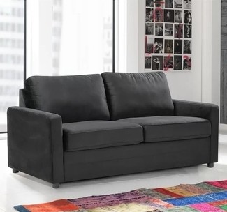 Modern Pull Out Sofas Bed | Foter