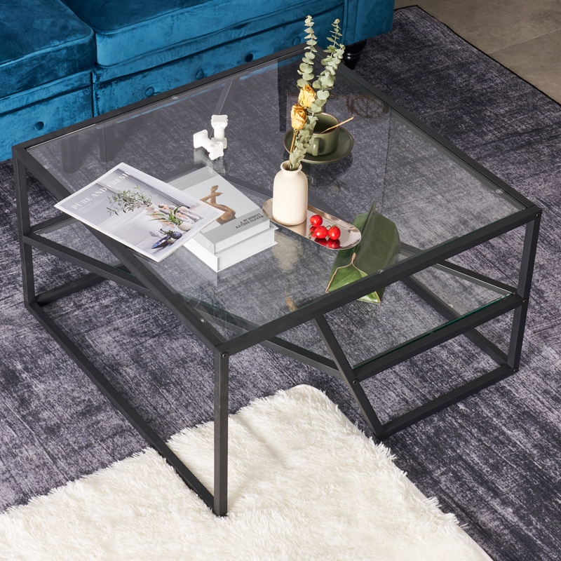 Metal and Glass Coffee Table with Storage