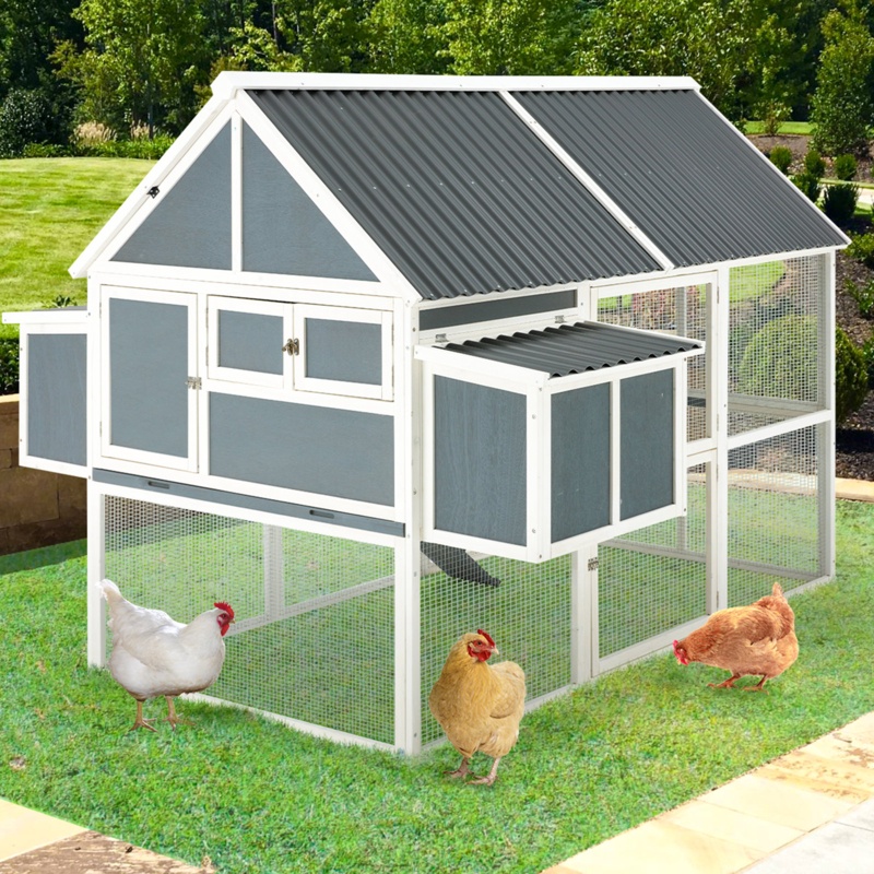 Fancy Gray Chicken Coop with Enclosed Ramps