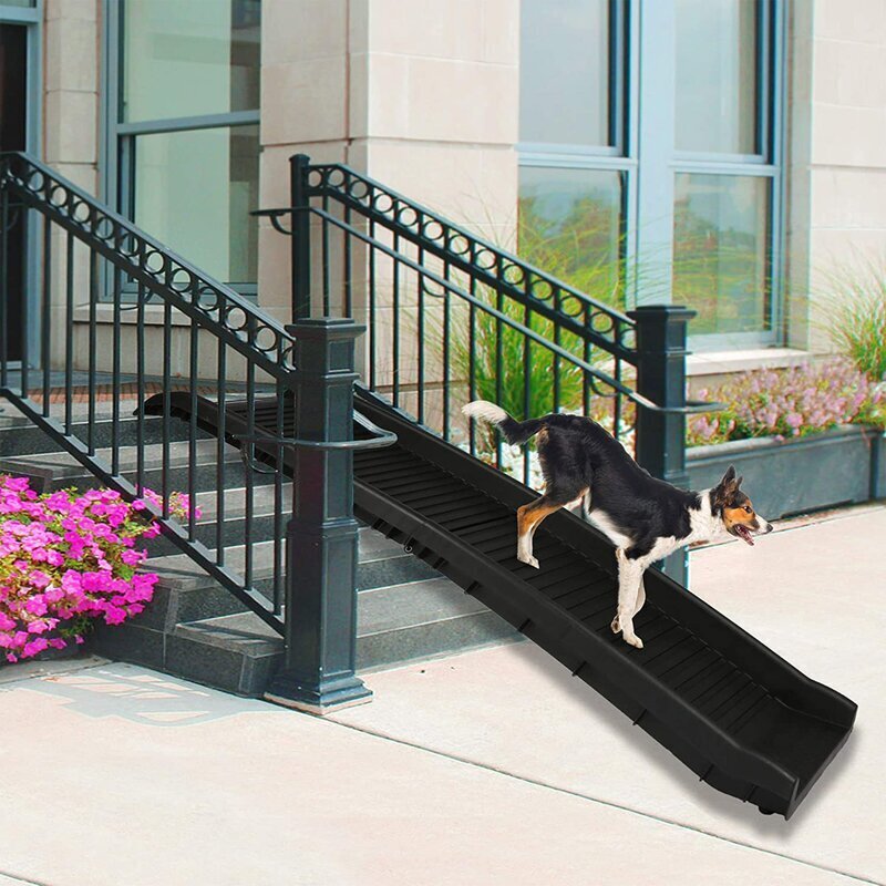 Dog Ramps With Rails