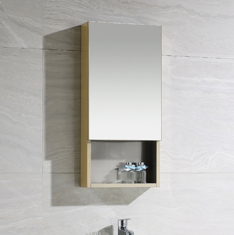 Stainless Steel Medicine Cabinet with Mirror