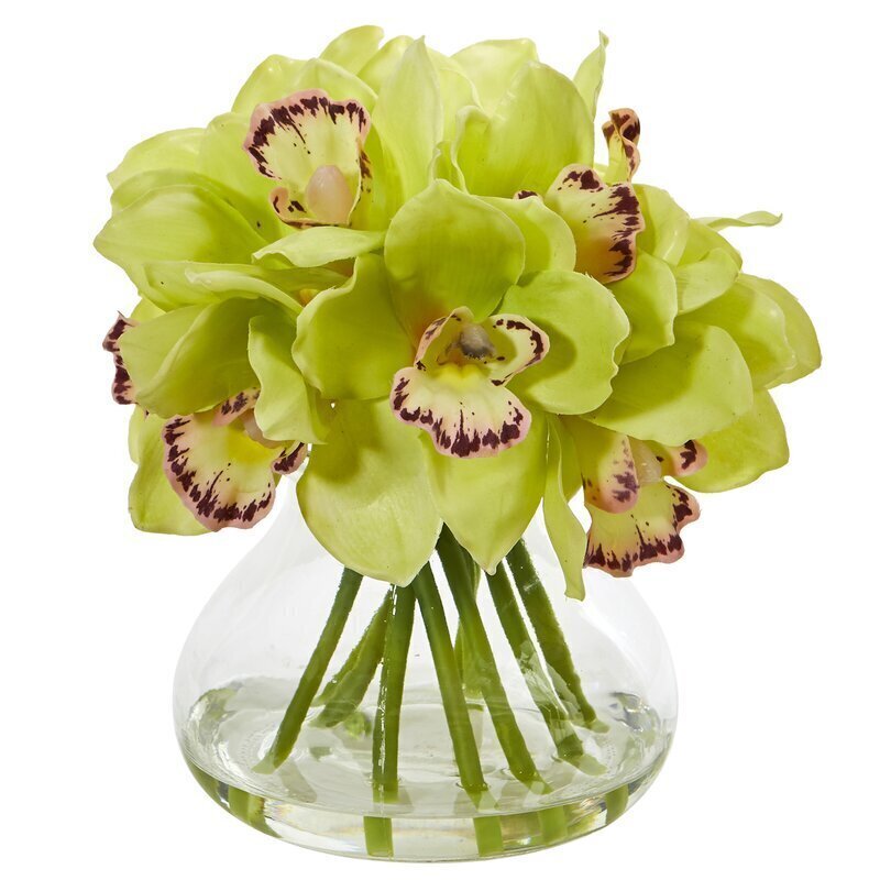 Elegant Orchid Arrangements