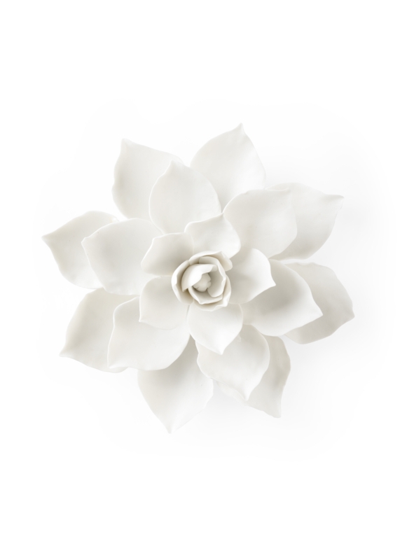 Ceramic Magnolia Wallflower in Matte White