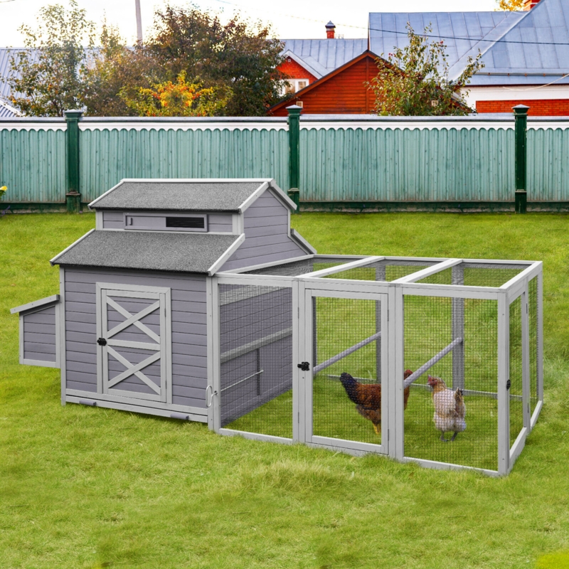 Luxury Chicken Coop with Nesting Boxes and Perches