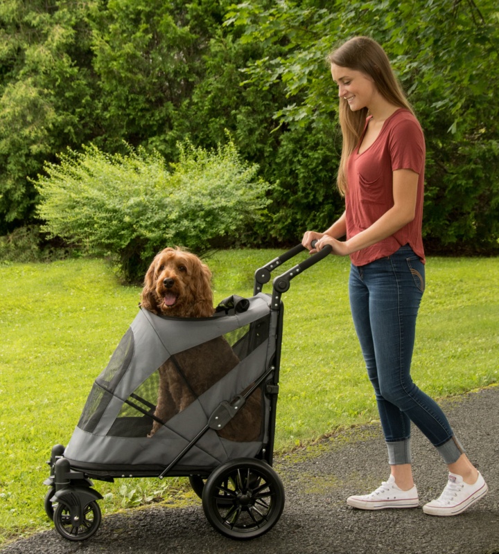 Folding Standard Stroller