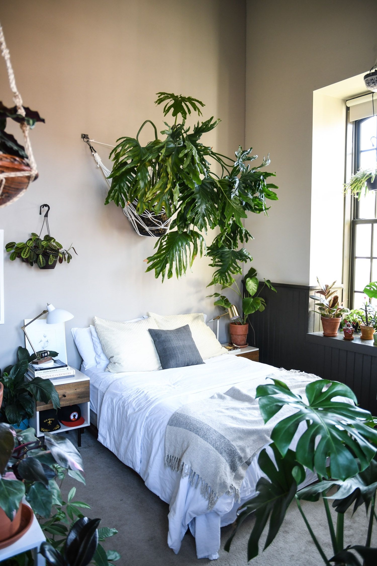 Hang a Wall Planter