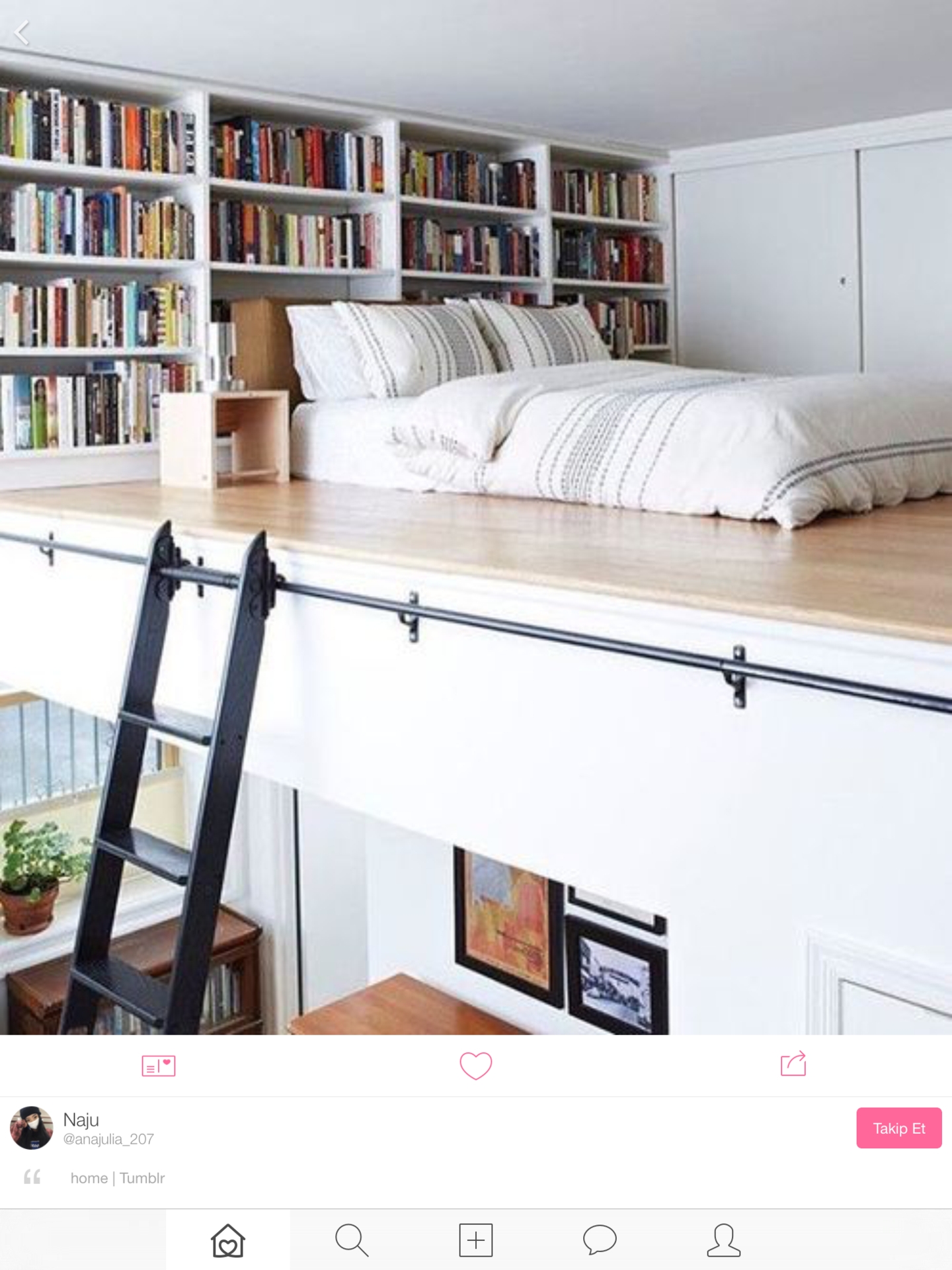 Incorporate Ladders