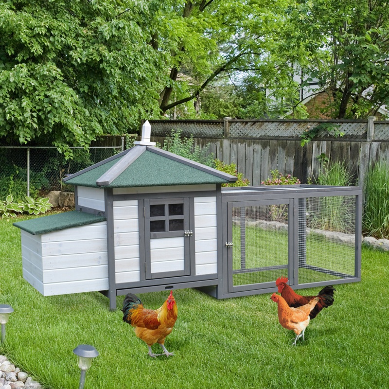 All-In-One Chicken Coop with Nesting Box